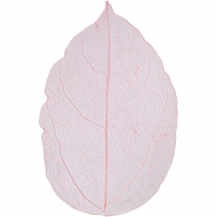 Skeletblade, L: 6-8 cm, lyserød, 20stk./ 1 pk.