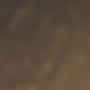 7033732_20